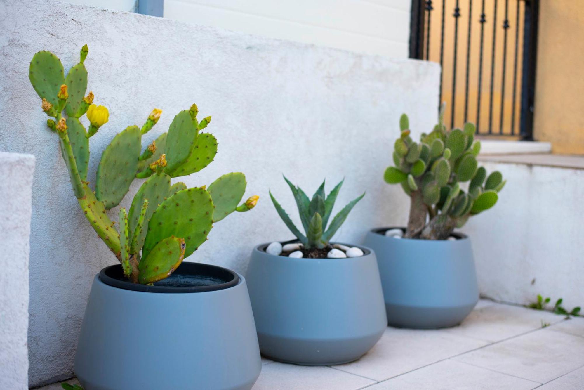 Kuca Za Odmor Sika Villa Sinj Ngoại thất bức ảnh